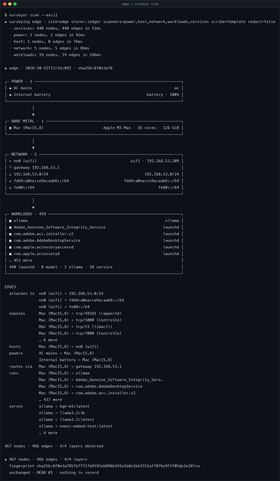 surveyor scan --ascii, showing the layered plat of an edge box